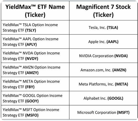 YieldMax ETF以高分红率吸引大量投资,但晨星深度分析指出这些收益数据存在误导成分,揭示投资者面临的真实风险和回报情况。
