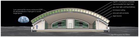 随着人类探索宇宙的步伐不断加快,火星成为实现星际殖民的首选目标。本文深入探讨在火星上建造定居点时面临的挑战和解决方案,揭示如何利用火星资源打造安全、可持续的生活环境。
