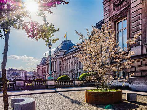 布鲁塞尔皇家区作为城市的文化与历史核心,融合了丰富的艺术瑰宝和辉煌的历史建筑。这里不仅是文化爱好者的理想目的地,更是探寻欧洲权力与艺术发展脉络的重要区域。皇家区将宏伟的建筑、著名的博物馆和惬意的城市公园完美结合,呈现出独一无二的城市风貌。
