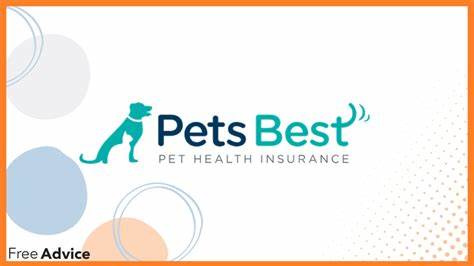 深入探讨Pets Best宠物保险在2025年的优势与不足,全面评估其覆盖范围、费用结构、理赔服务及用户体验,帮助宠物主人做出明智选择。
