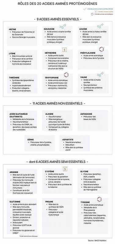 深入剖析20种氨基酸的结构、功能及其在身体健康和营养中的不可替代地位,助您科学理解营养搭配与身体健康的紧密联系。
