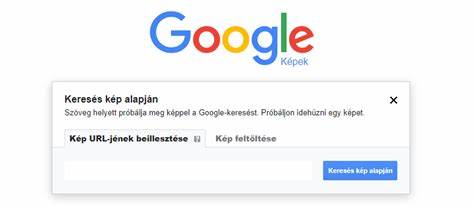 全面解析如何在电脑端使用Google的以图搜图功能与Google Lens,从上传、拖拽、URL 搜索到浏览器兼容性、隐私考虑与优化技巧,帮助用户与站长提升图片搜索效果与可见性。
