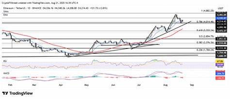在美联储主席鲍威尔即将发表重要讲话之际,以太坊供应获利比例突破90%,引发市场对潜在抛售的担忧。文章深入分析了当前ETH市场的技术面和宏观经济环境,以及未来价格走势可能面临的关键支撑和压力位置,帮助投资者理清市场态势,把握交易机会。
