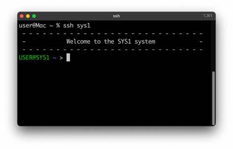 介绍如何为 z/OS 系统构建现代化、可用且安全的 UNIX shell 环境,涵盖 SSH、Bash、编码、常用开源工具及 /etc/profile 的完整配置思路,帮助团队提升开发运维效率与人员留存率
